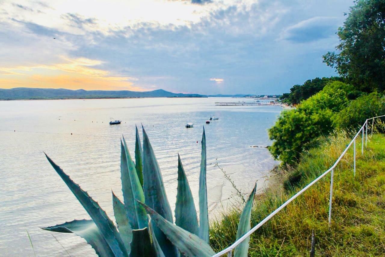 Camping Bepo Villa Sveti Filip i Jakov Bagian luar foto